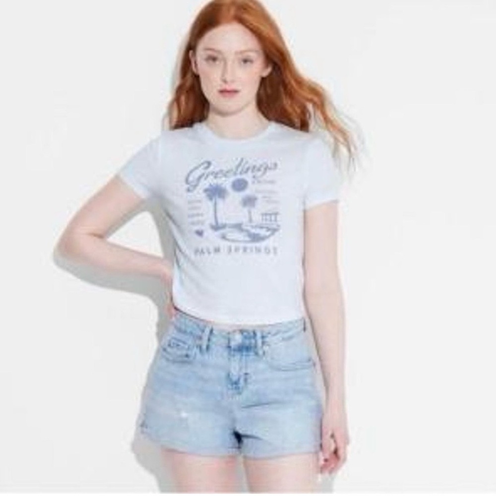 Wild Fable light blue Palm Springs Graphic baby doll cropped tee